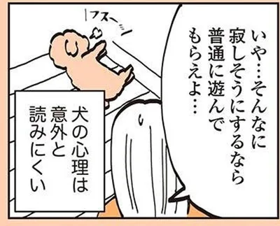 犬の心理は意外と読みにくい