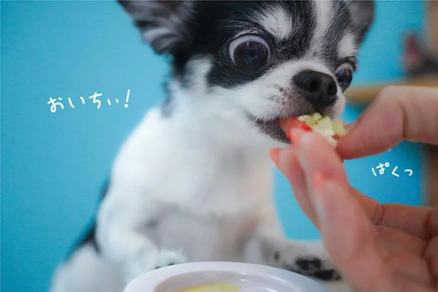 おいちい! ぱくっ