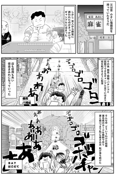 妻と娘（つまり私）も巻き込み転げ落ち続けた