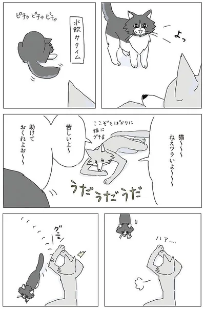 助けておくれよお～