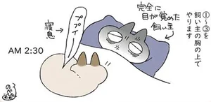 寝るときには欠かせない！深夜2時半に繰り広げる猫のルーティーン／もっと!!シャム猫あずきさんは世界の中心（2）