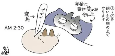 完全に目が覚めた飼い主