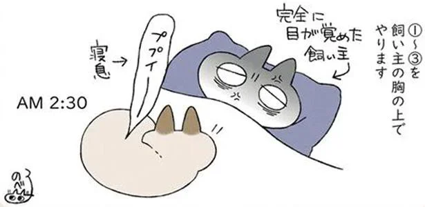 完全に目が覚めた飼い主