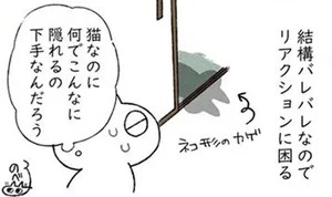 飼い主をびっくりさせたい！リアクションに困る猫の影／もっと!!シャム猫あずきさんは世界の中心（6）