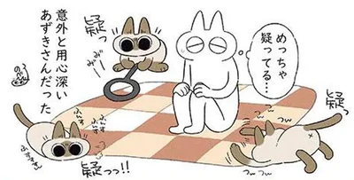 用心深いあずきさん
