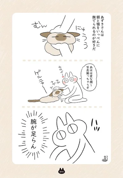写真撮っちゃうぞ