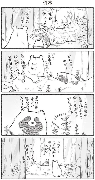 木が倒れてる