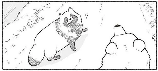 クマとたぬきが一緒に歩くとき／クマとたぬき2（11）
