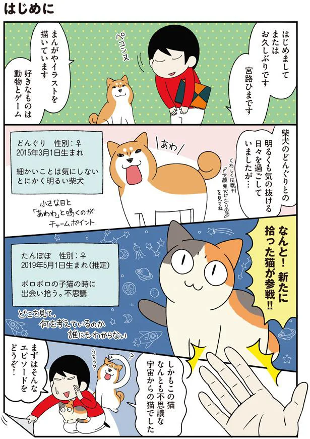 拾った猫が参戦！