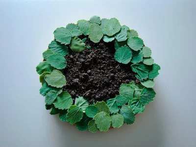 鉢植えの土は砕いたオレオ／ながた/ロウアイキューさんの作るユニークなスイーツの画像（5/14）