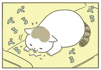 性格が全然違う猫たちは、イタズラのごまかし方にも個性が／うちの猫がまた変なことしてる。（1）