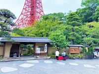 虫ニガテ…NEWS増田貴久さんのピンチを救う小山さん加藤さんの神フォーメーションが尊い【「オトナのNEWS」最速とって出し】（19）