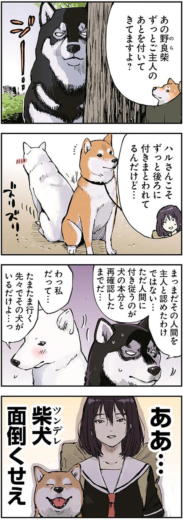 柴犬（ツンデレ）面倒くせえ