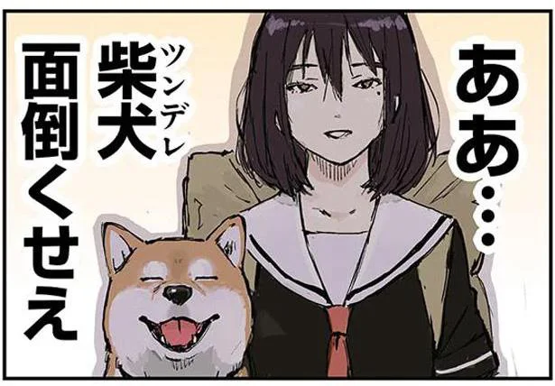 柴犬(ツンデレ)、面倒くせえ