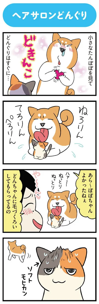 あら～ぽぽちゃんよかったねぇ