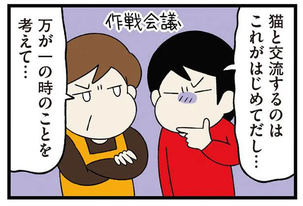 初対面は慎重に。先住犬と新入り猫との交流／うちう猫と柴犬（2）