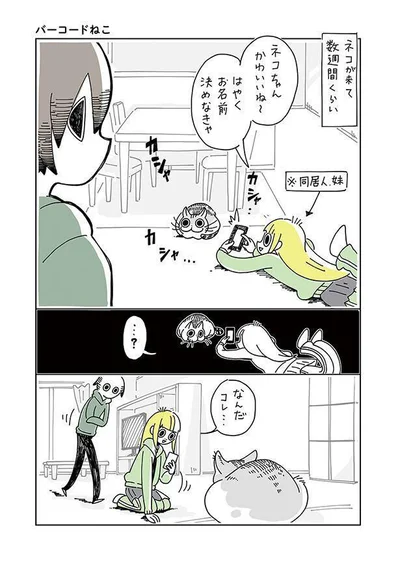 なんだコレ…