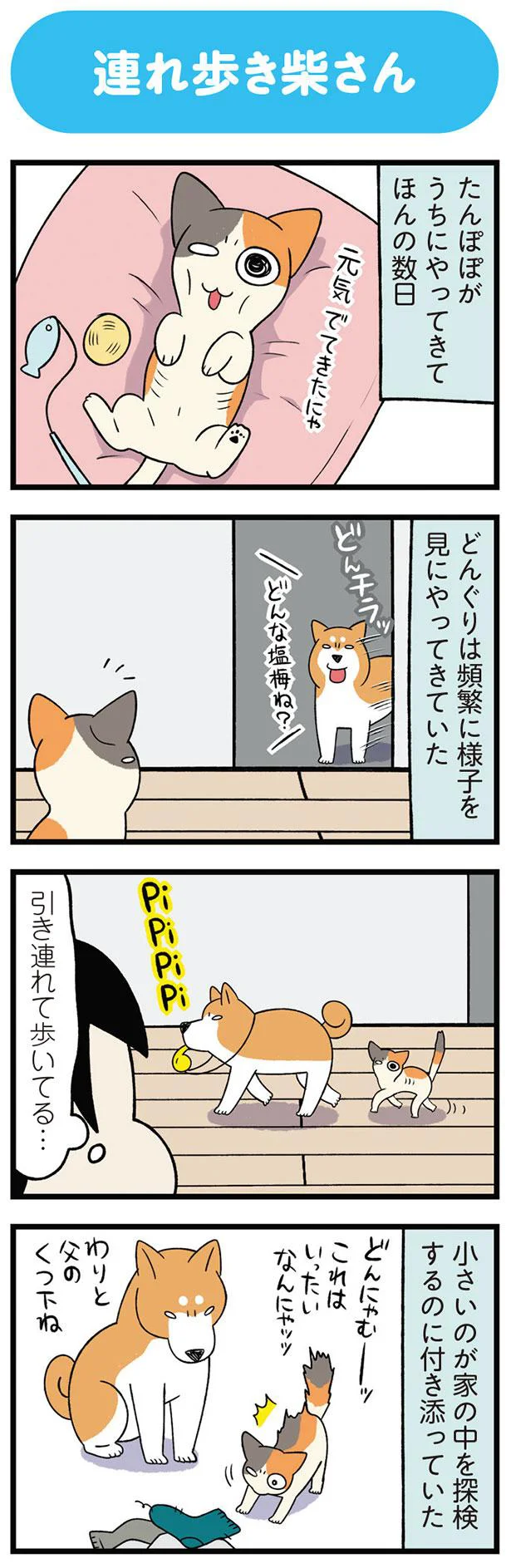 どんな塩梅ね？