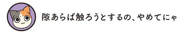 隙きあらば触ろうとするの、やめてにゃ