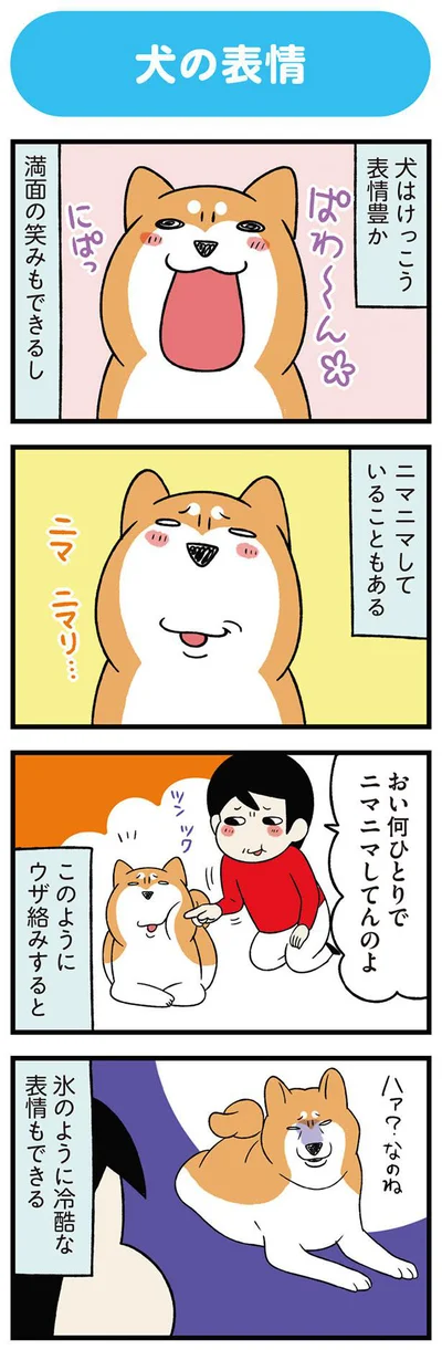 犬はけっこう表情豊か