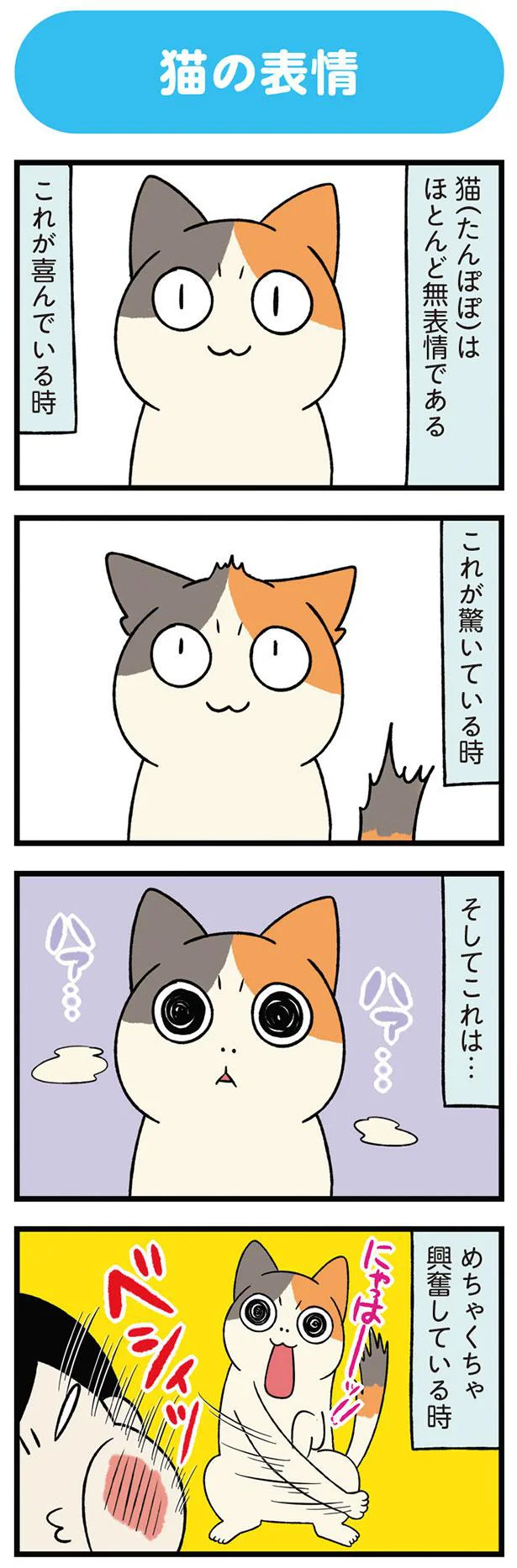 猫（たんぽぽ）はほとんど無表情である