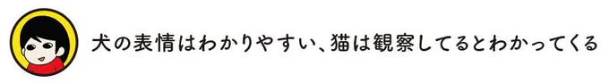 犬の表情はわかりやすい、猫は観察してるとわかってくる