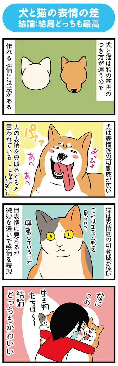 作れる表情には差がある