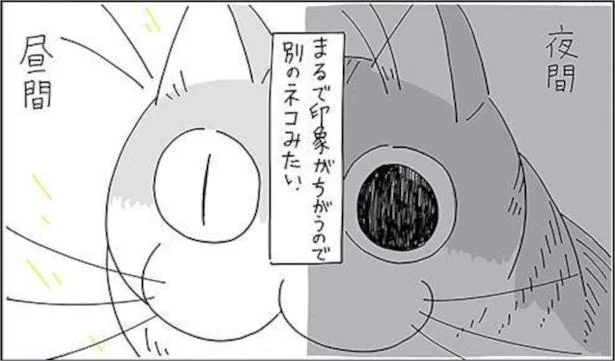 まるで印象が違うので