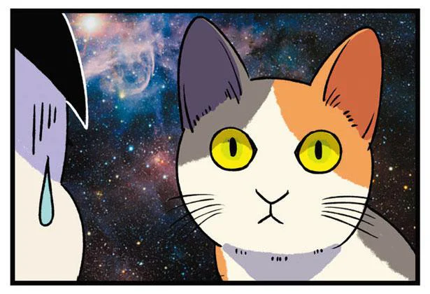 話し合おうと思った人間が浅はかだった！宇宙と交信中？なふしぎ猫／うちう猫と柴犬（6）