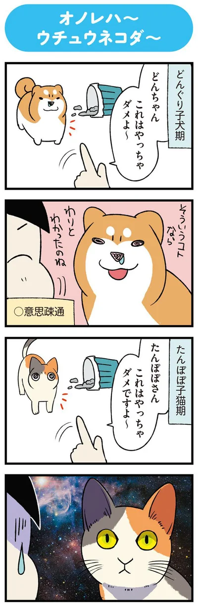 これはやっちゃダメよ～