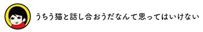 うちう猫と話し合おうだなんて思ってはいけない