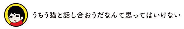 うちう猫と話し合おうだなんて思ってはいけない