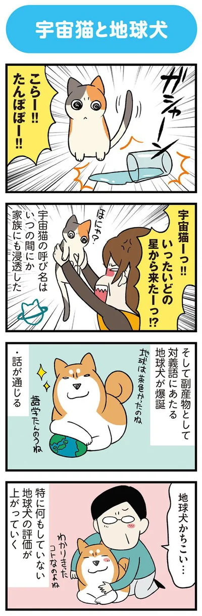 地球犬が爆誕