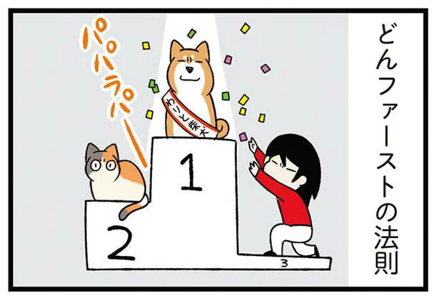 さびしい思いをさせないように！犬と猫との暮らしで気をつけていること／うちう猫と柴犬（7）