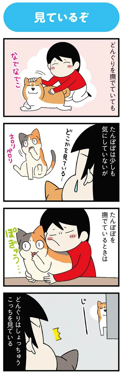 しょっちゅうこっちを見ている