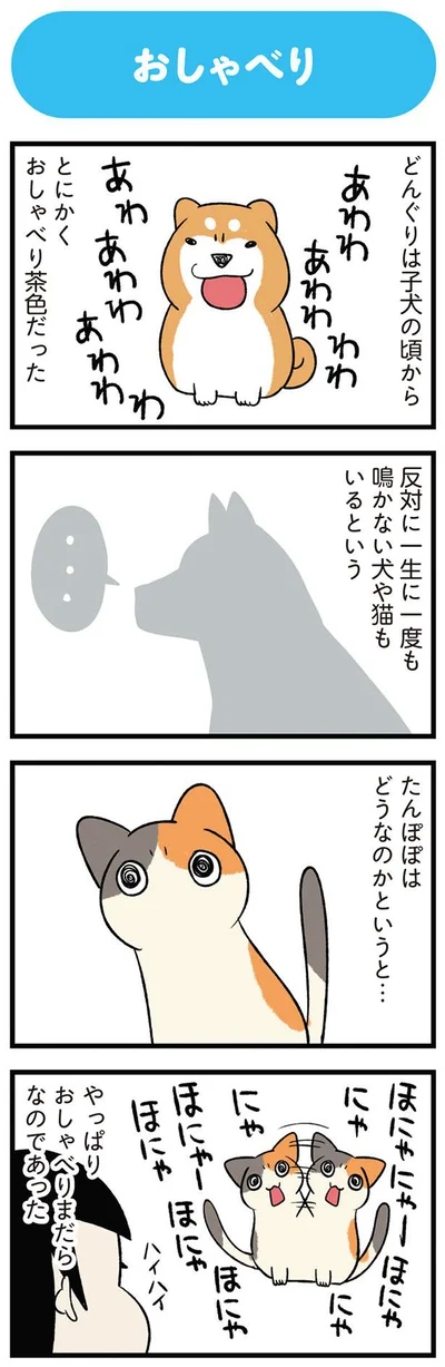 とにかくおしゃべり