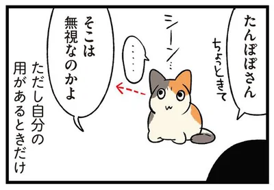 そこは無視なのかよ