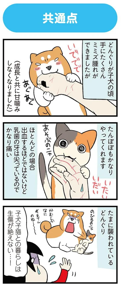 生傷が絶えない…！