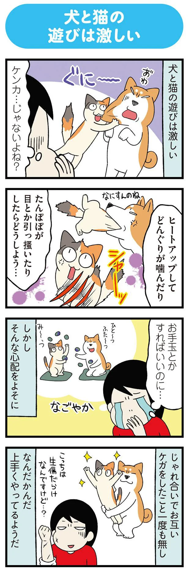 ケンカ…じゃないよね？