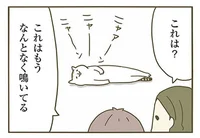 もはや惰性で鳴いてる？ よく鳴く猫の言いたいこと／うちの猫がまた変なことしてる。（2）