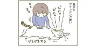 ブラッシングの好き嫌いで広がる、うちの2匹の毛艶格差／うちの猫がまた変なことしてる。（3）