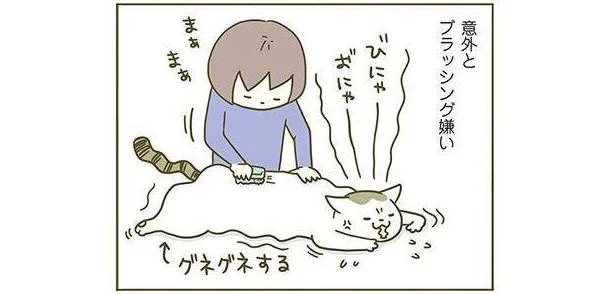 ブラッシングの好き嫌いで広がる、うちの2匹の毛艶格差／うちの猫がまた変なことしてる。（3）