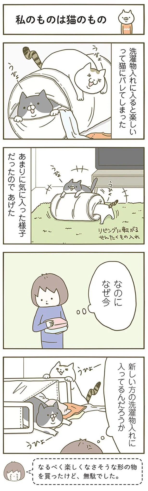 私のものは猫のもの