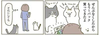 考えるとちょっと怖い。次々なくなる猫のおもちゃの行方／うちの猫がまた変なことしてる。（5）