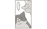  そんなに落ち込む!? 猫たちのお気に入りダンボールを解体してみた／うちの猫がまた変なことしてる。（6）