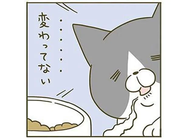 変わってない