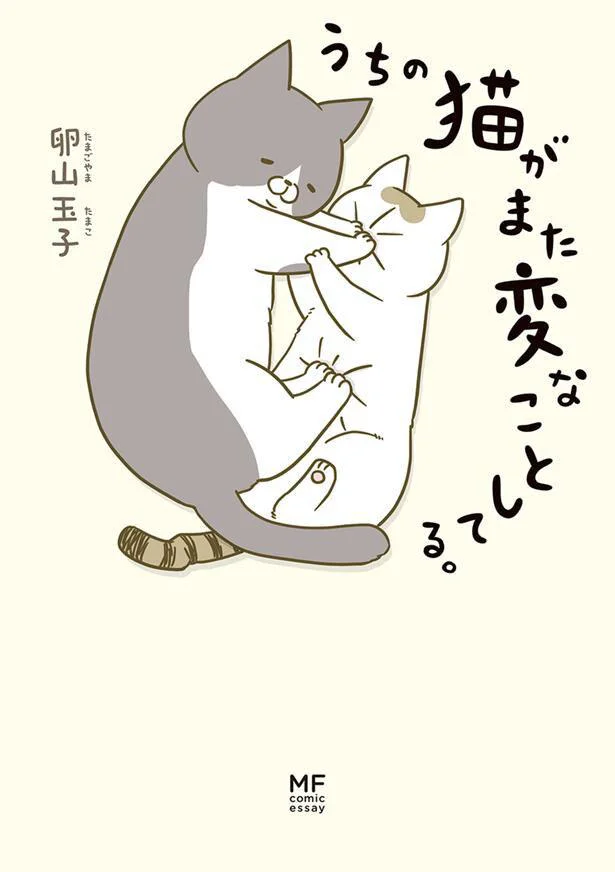 2匹のかわいい仕草に癒される『うちの猫がまた変なことしてる。』