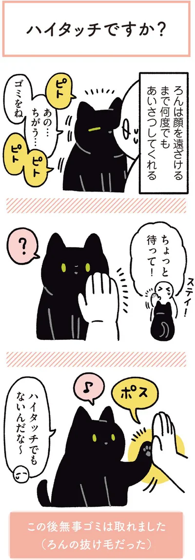 ハイタッチでもないんだな～