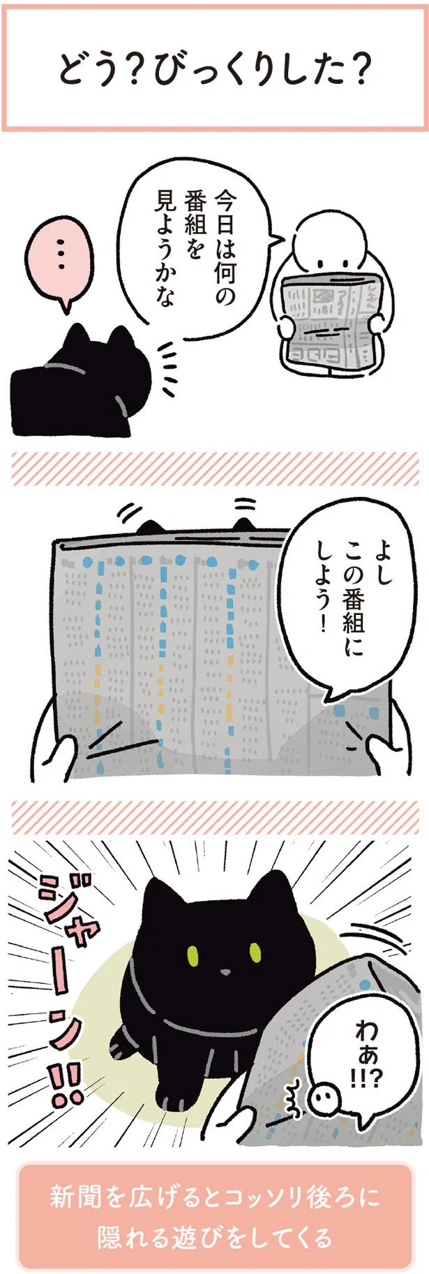 新聞を広げると