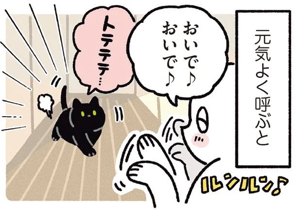 呼び方に合わせます！猫のテンションが変わる理由／黒猫ろんと暮らしたら4（9）